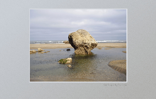 Early morning shot of rock undercut by rock oysters (piddocks)